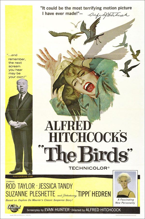 the_birds_movie_poster_alfred_hitchcock.jpg