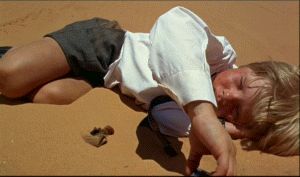 DVD OF THE WEEK - Walkabout Pic One.gif