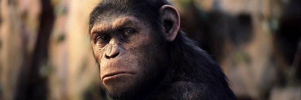 10 Best Monkeys in Movies