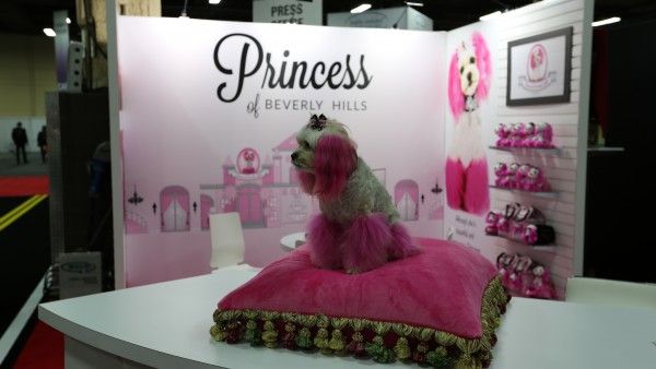 licensing-expo-2015-image-85