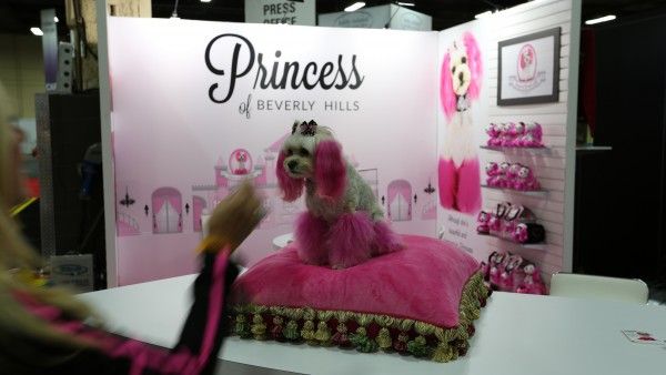 licensing-expo-2015-image-86