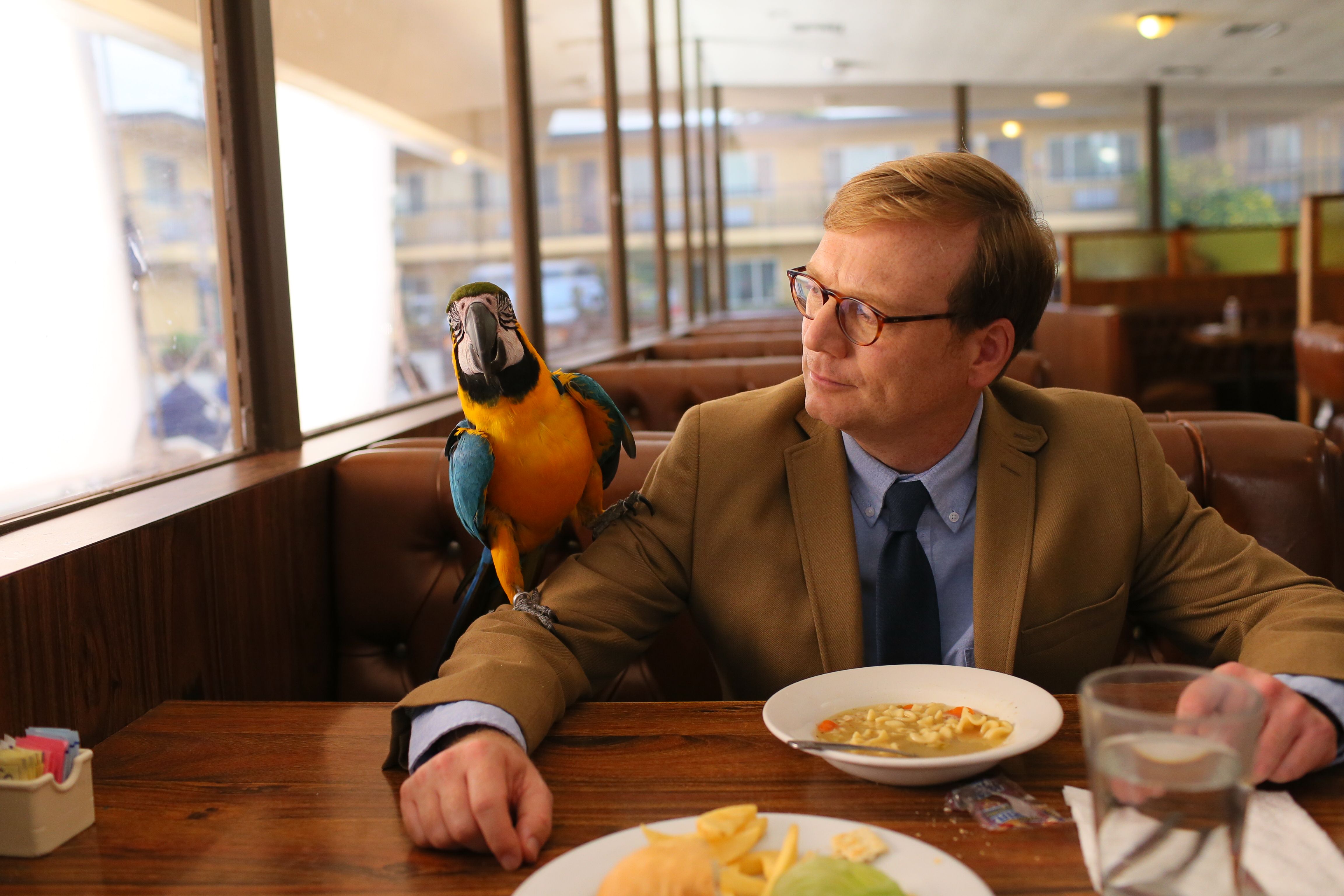 Andy Daly in Review