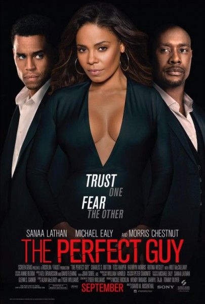the-perfect-guy-poster