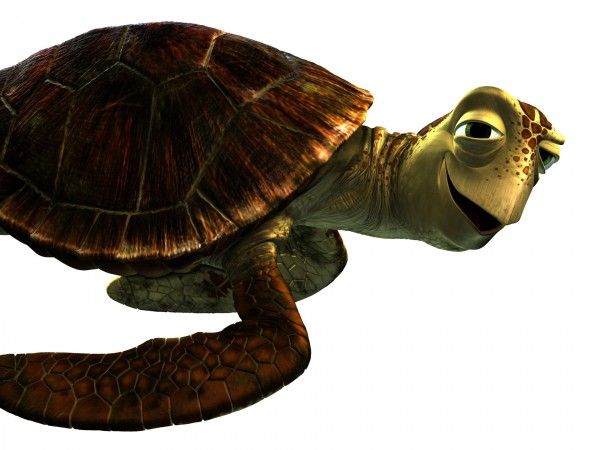finding-dory-crush-andrew-stanton-sea-turtle
