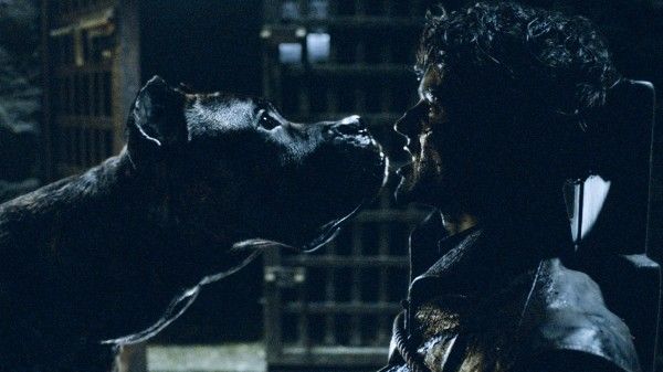 game-of-thrones-battle-of-the-bastards-ramsay-dogs
