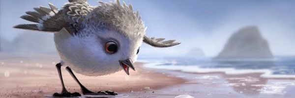 Piper: 12 Things to Know About New Pixar Short Film