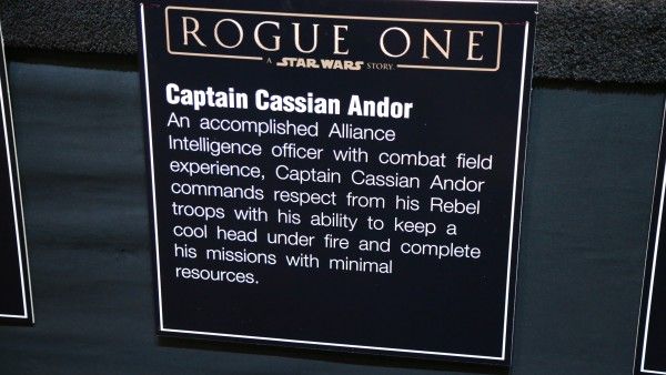 star-wars-rogue-one-captain-cassian-andor-description