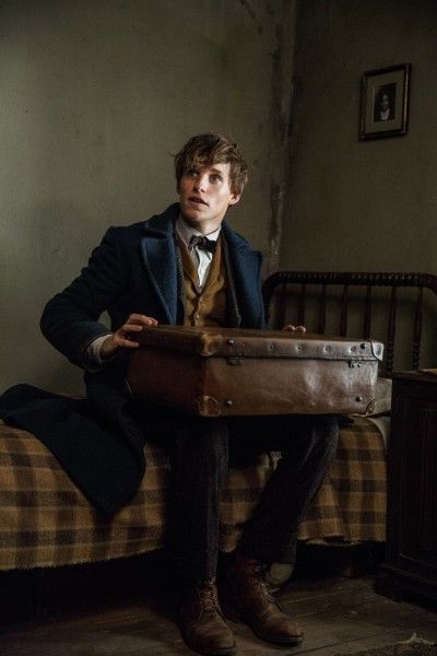 fantastic-beasts-and-where-to-find-them-eddie-redmayne-image