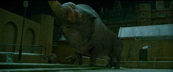 fantastic-beasts-and-where-to-find-them-erumpent