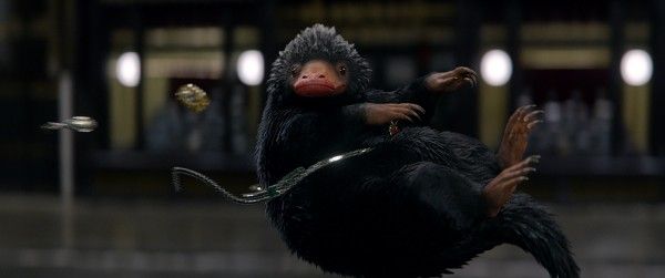 fantastic-beasts-and-where-to-find-them-niffler