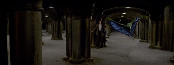 fantastic-beasts-and-where-to-find-them-swooping-evil