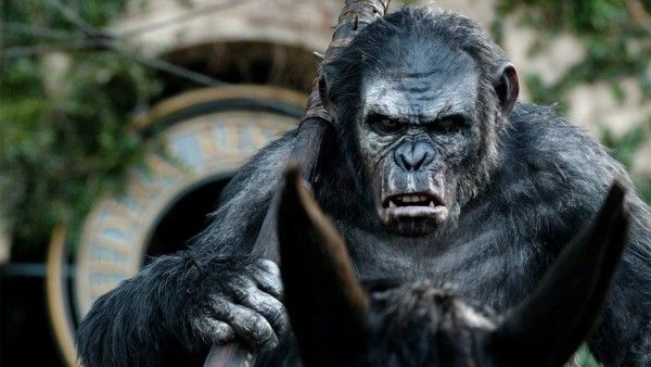 war-for-the-planet-of-the-apes-koba