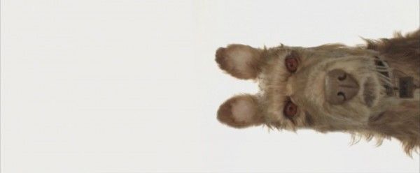 isle-of-dogs-trailer-wes-anderson