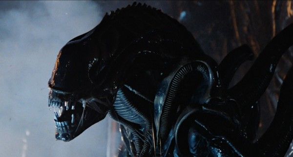 alien-1979-xenomorph