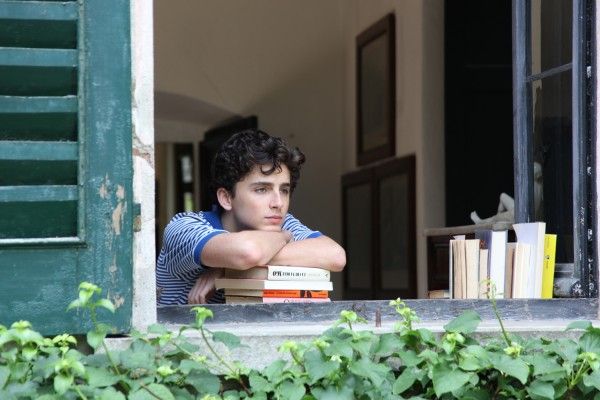 call-me-by-your-name-timothee-chalamet