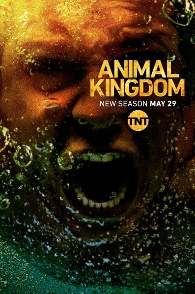 animal-kingdom-season-3-jake-weary-interview