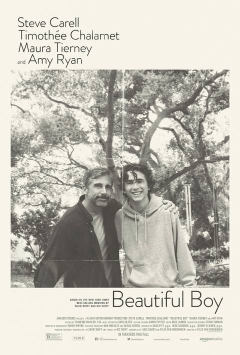 Filmes dramáticos imperdíveis no Prime Video 4 beautiful boy poster.jpg?q=50&fit=crop&w=480&dpr=1