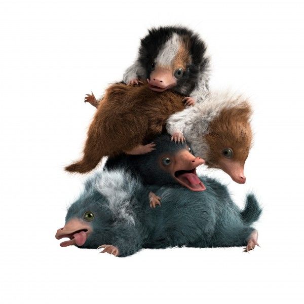 fantastic-beasts-2-baby-nifflers