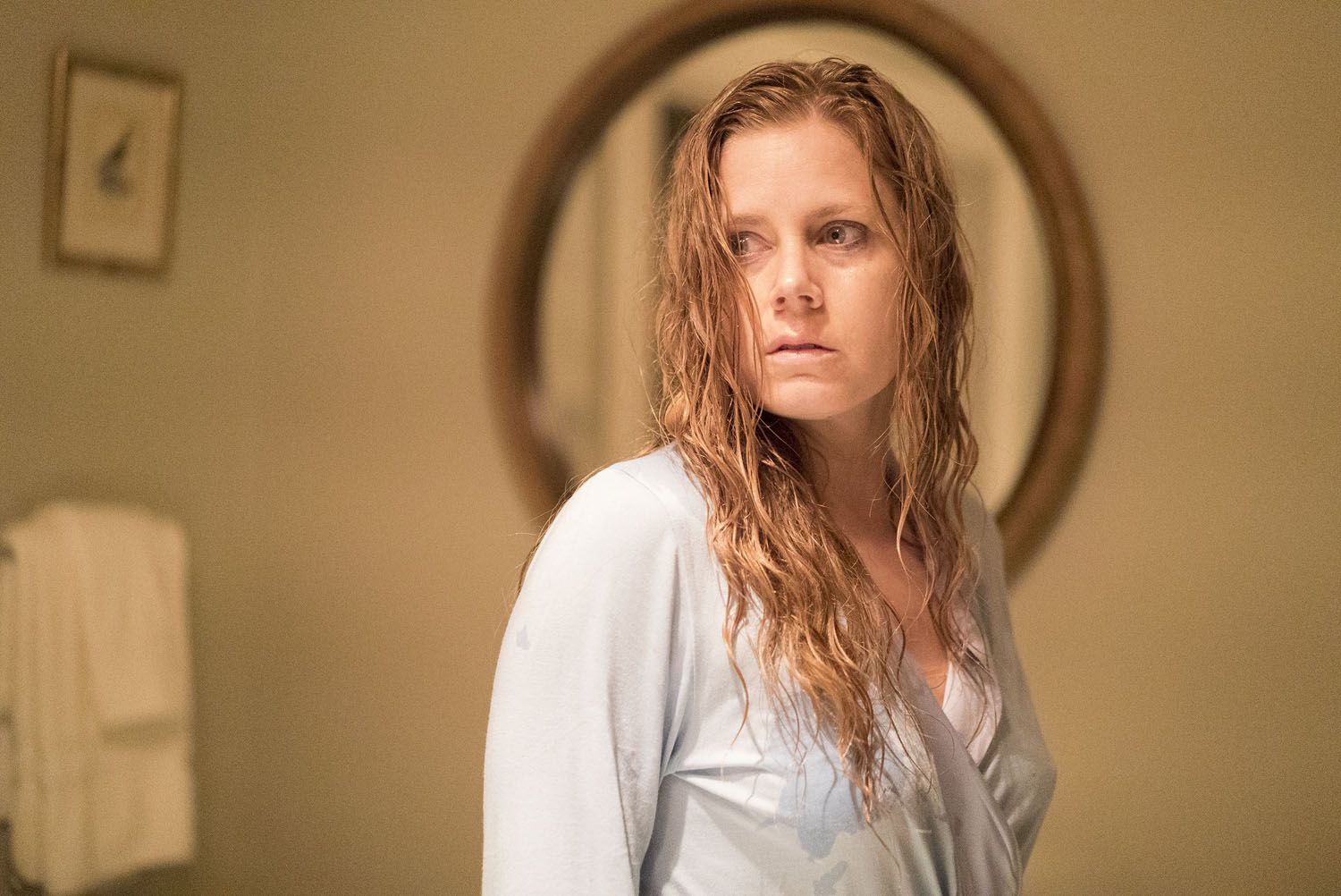 sharp-objects-finale-camille-amy-adams