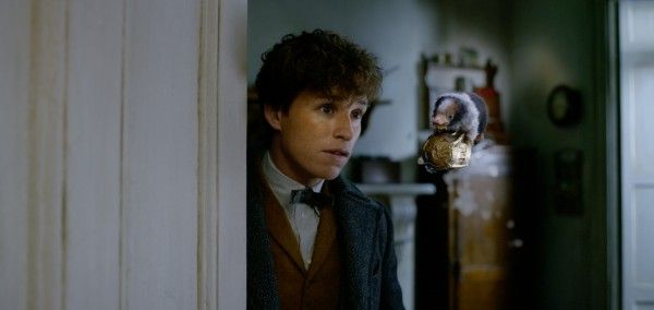 fantastic-beasts-the-crimes-of-grindelwald-baby-niffler-newt