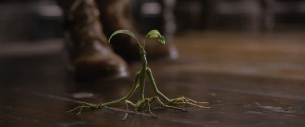 fantastic-beasts-the-crimes-of-grindelwald-bowtruckle