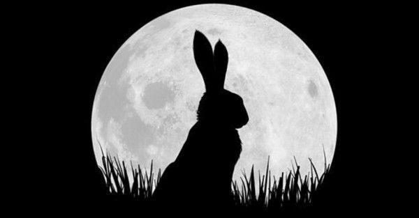 Watership Down Rabbit Silhouette Against Moon