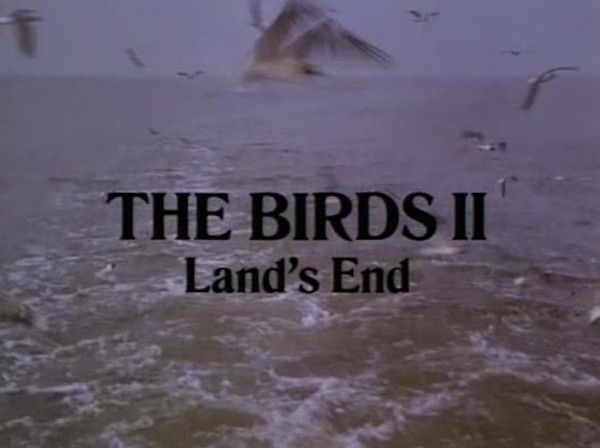 birds-lands-end