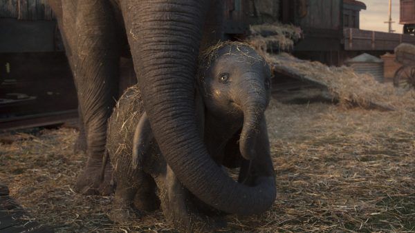 dumbo-live-action-image