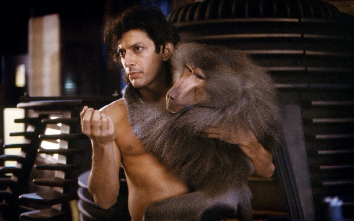 the-fly-jeff-goldblum