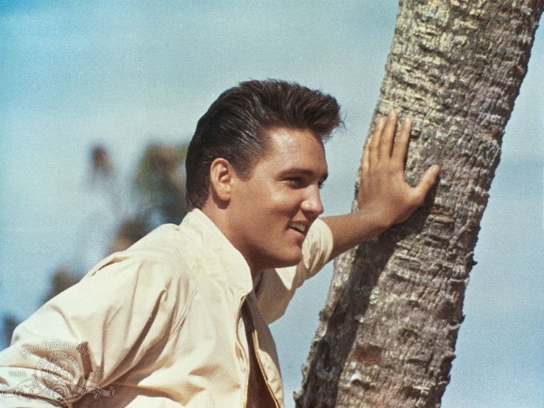 Rare Facts About Elvis Presley