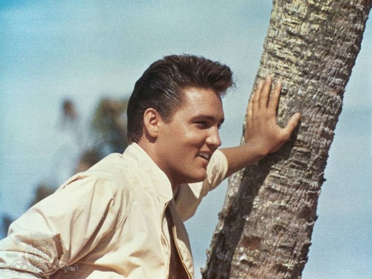 Rare Facts About Elvis Presley