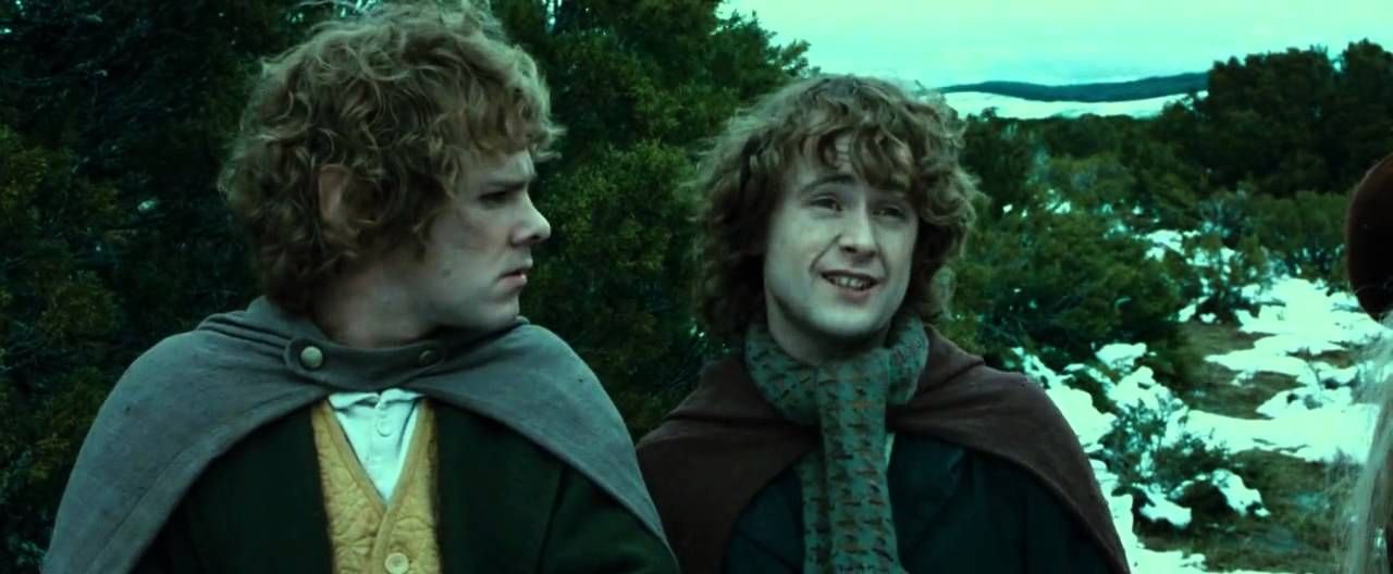 fellowship-of-the-ring-dominic-monaghan-billy-boyd