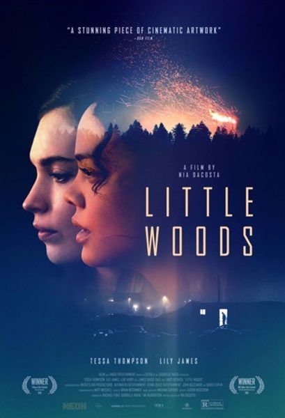 little-woods-poster