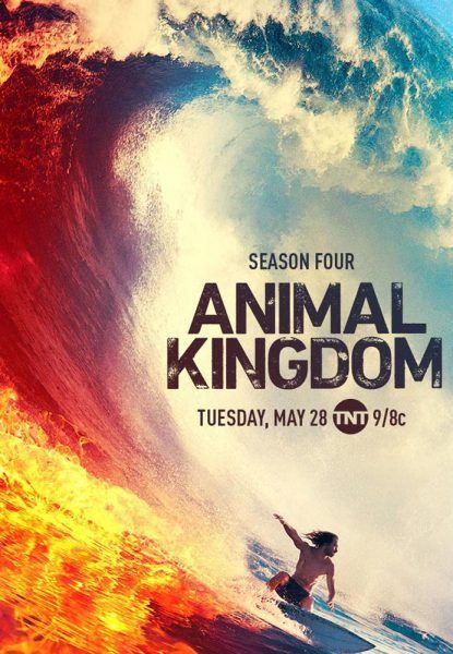 animal-kingdom-poster