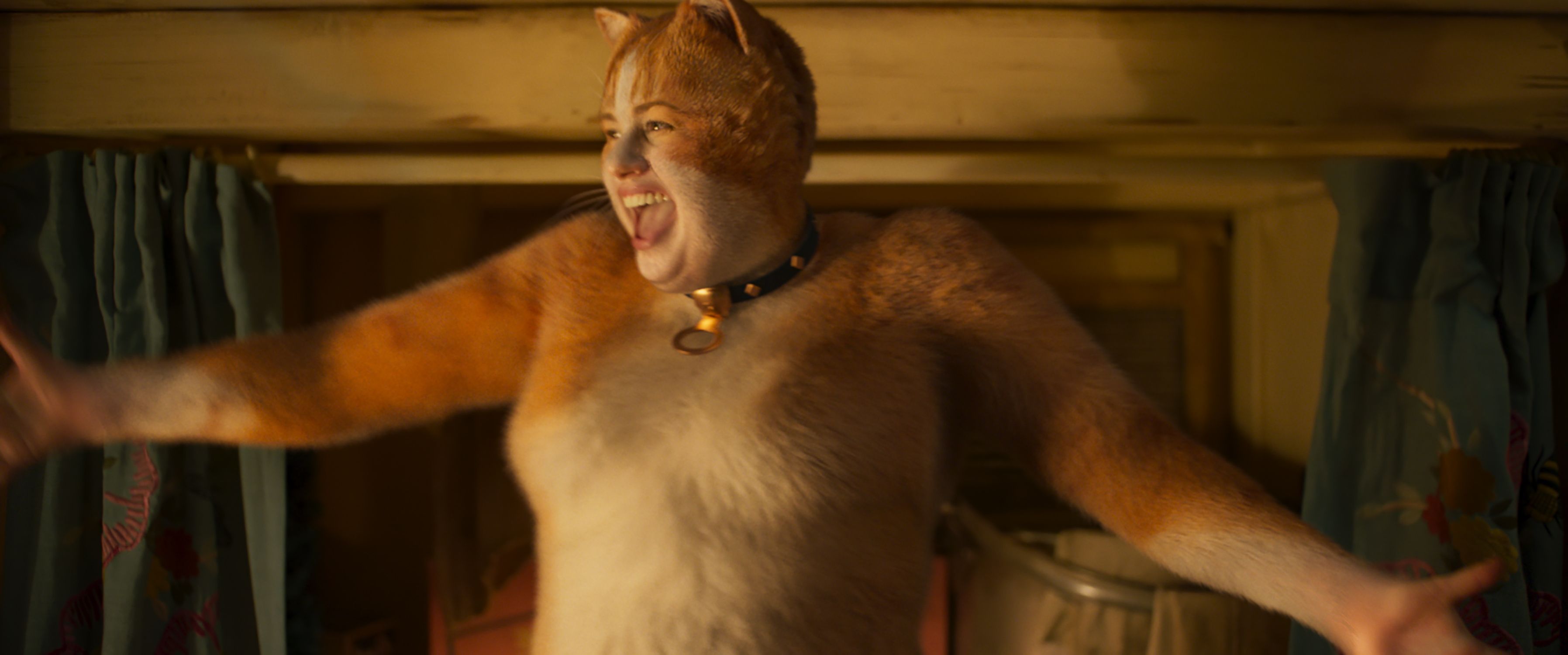 cats-rebel-wilson