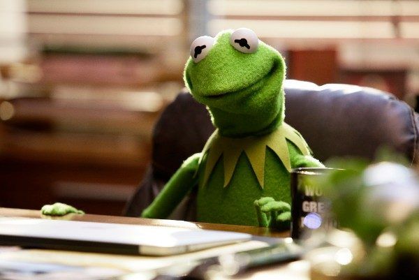 Kermit the Frog sits at a desk in ABC's 'The Muppets.'