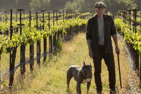Patrick Stewart as Jean-Luc Picard with his dog in Star Trek: Picard