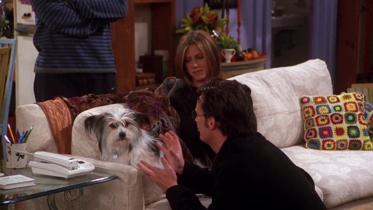 friends-thanksgiving-chandler-doesnt-like-dogs