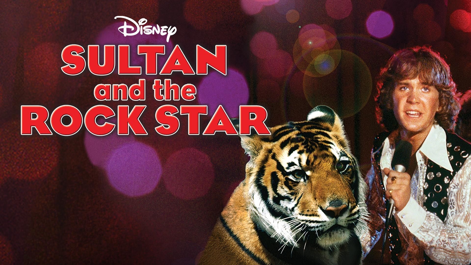 sultan-et-la-rock-star