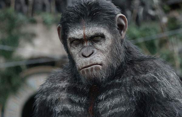 dawn-planet-of-the-apes-serkis-social