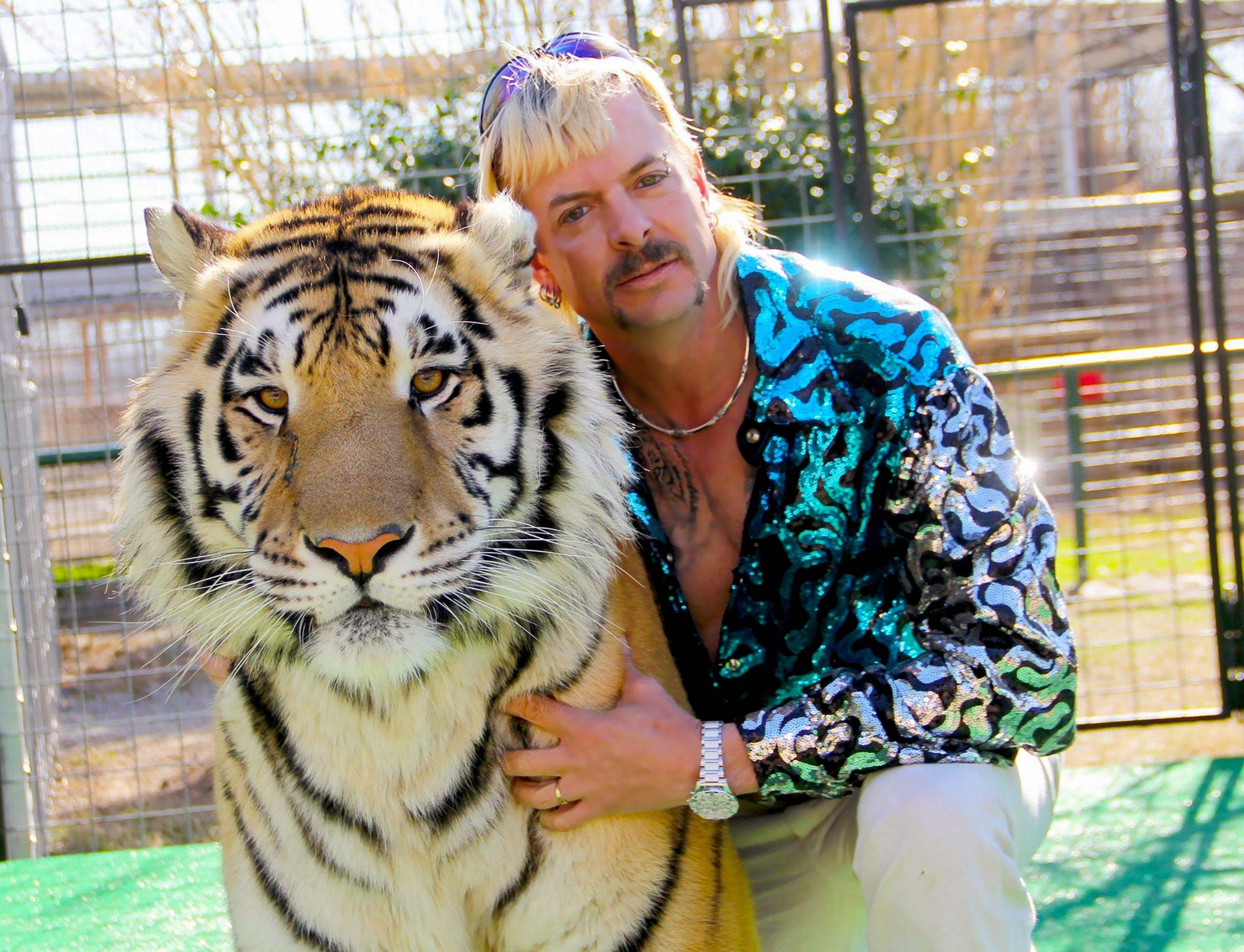 tiger-king-2