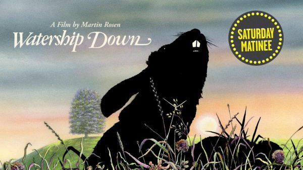 watership-down-criterion-channel