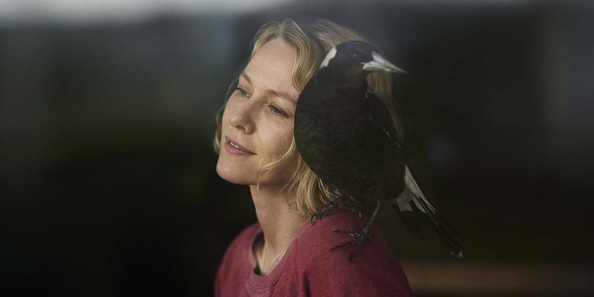 penguin-bloom-naomi-watts