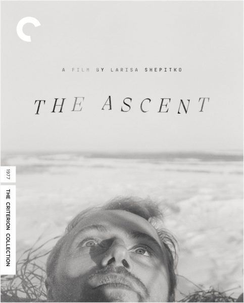 the-ascent-criterion-collection