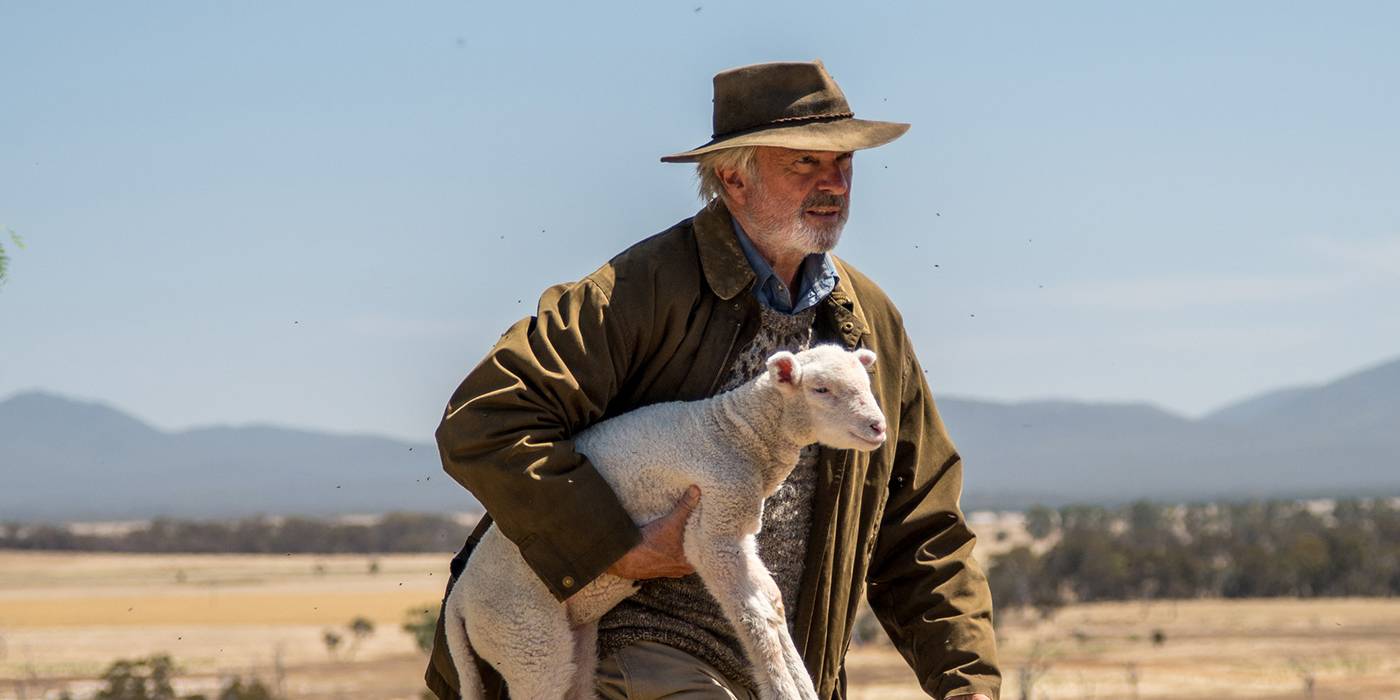 Sam Neill, Cute Sheep Shine in Heartwarming Rams Trailer