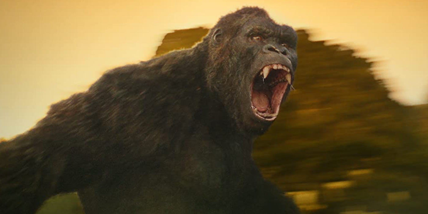 Godzilla Vs Kong Release Date Moved Including Hbo Max Date