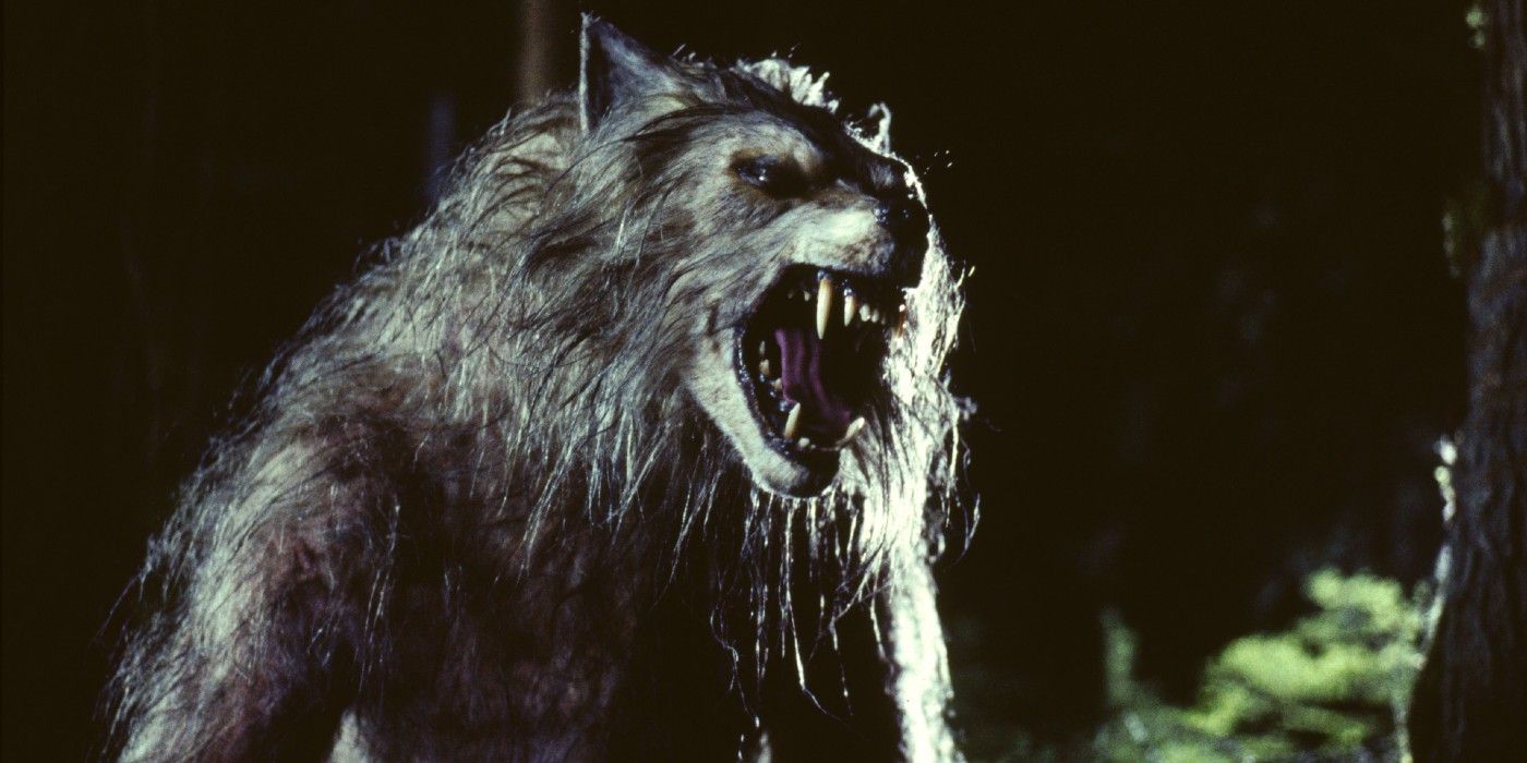 bad moon werewolf