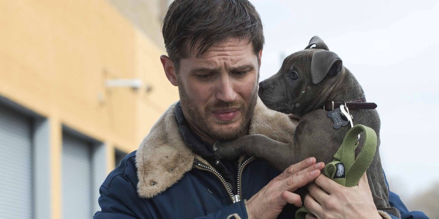 Tom Hardy holding a puppy in The Drop