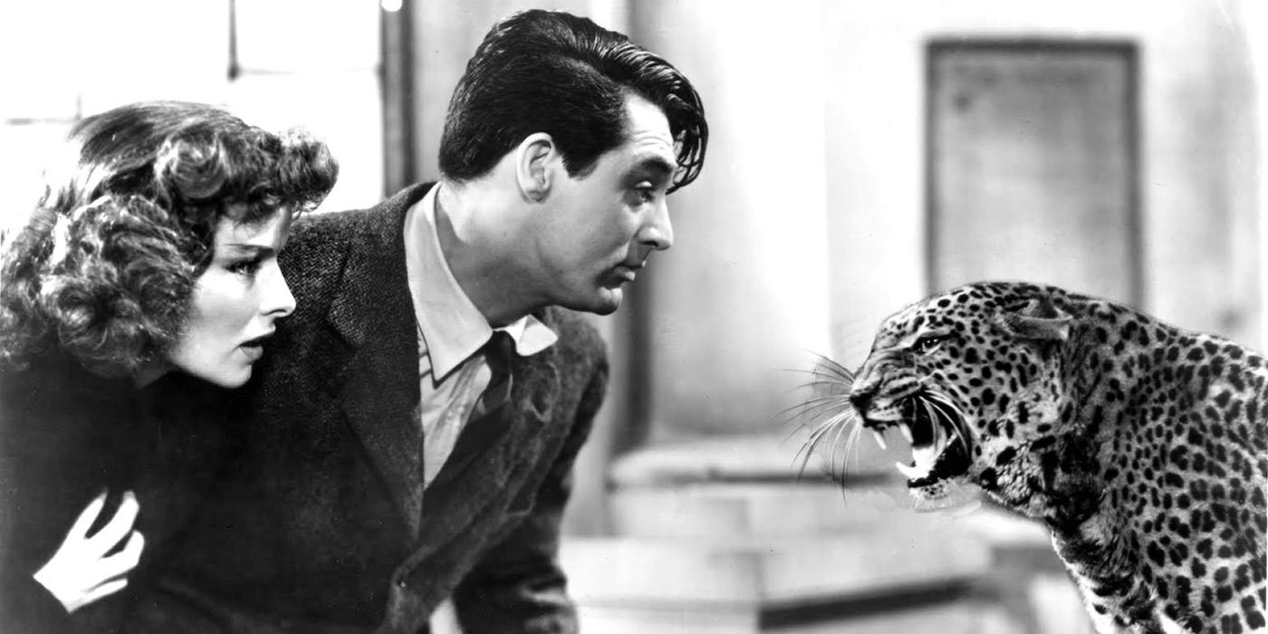 Cary Grant et Katharine Hepburn regardent un léopard dans Bringing Up Baby.