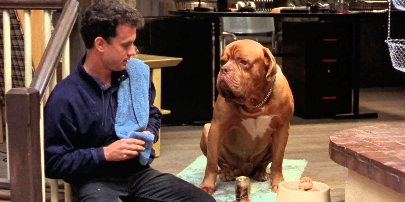 tom-hanks-turner-and-hooch-movie